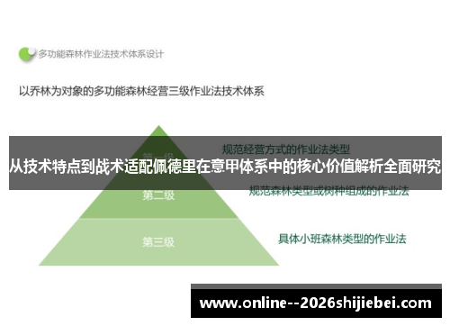 从技术特点到战术适配佩德里在意甲体系中的核心价值解析全面研究